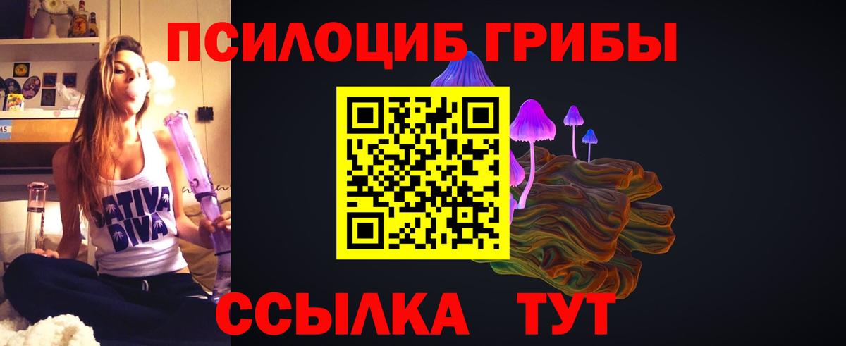 Самара  Галлюциногенные грибы Psilocybine cubensis  где найти   Галлюциногенные грибы ЛСД  Вход с VPN 